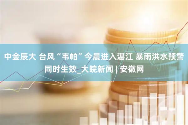 中金辰大 台风“韦帕”今晨进入湛江 暴雨洪水预警同时生效_大皖新闻 | 安徽网