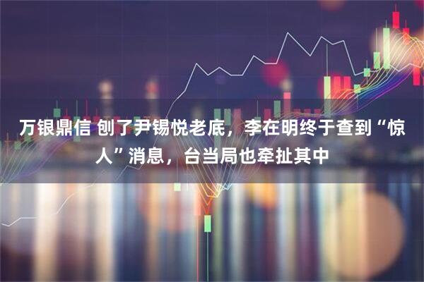 万银鼎信 刨了尹锡悦老底，李在明终于查到“惊人”消息，台当局也牵扯其中