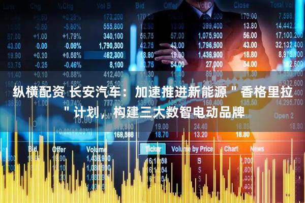 纵横配资 长安汽车：加速推进新能源＂香格里拉＂计划，构建三大数智电动品牌