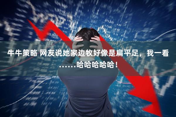 牛牛策略 网友说她家边牧好像是扁平足，我一看……哈哈哈哈哈！