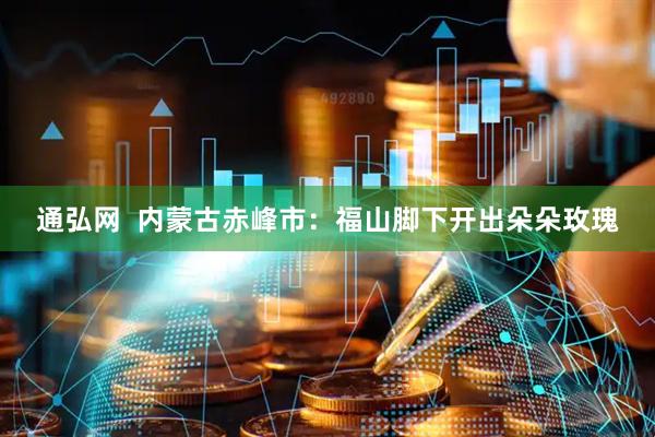通弘网  内蒙古赤峰市：福山脚下开出朵朵玫瑰