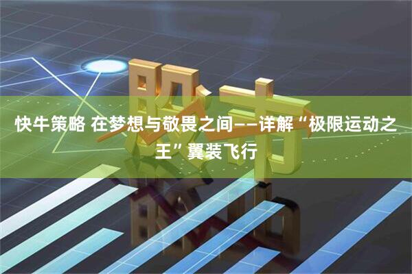 快牛策略 在梦想与敬畏之间——详解“极限运动之王”翼装飞行