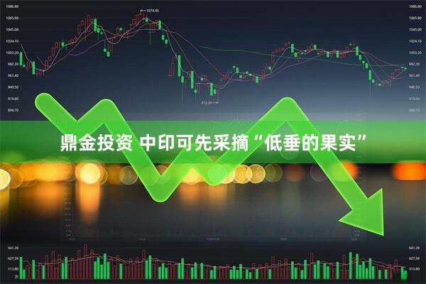鼎金投资 中印可先采摘“低垂的果实”