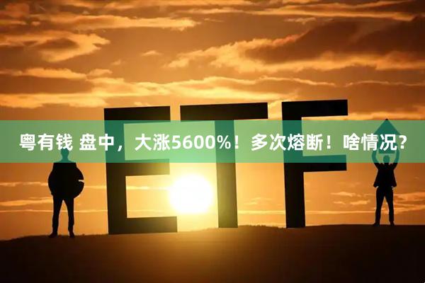 粤有钱 盘中，大涨5600%！多次熔断！啥情况？
