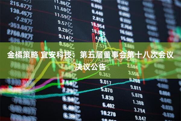 金橘策略 宜安科技：第五届董事会第十八次会议决议公告