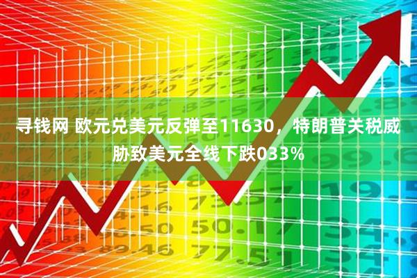 寻钱网 欧元兑美元反弹至11630，特朗普关税威胁致美元全线下跌033%